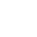 Brand Image Icon